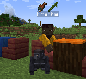 pets-mods2.png